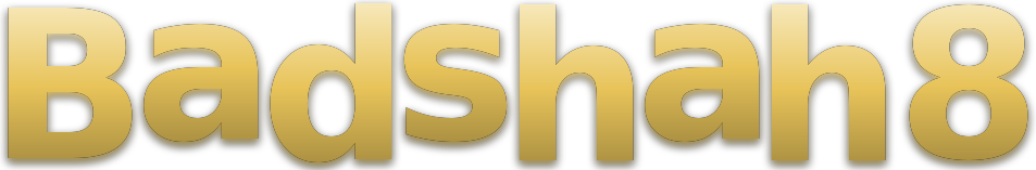Badshah 8 logo